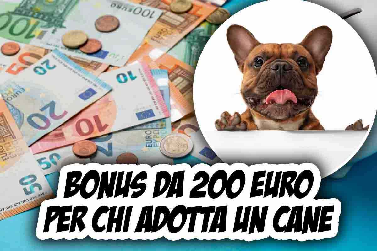 Cane bonus