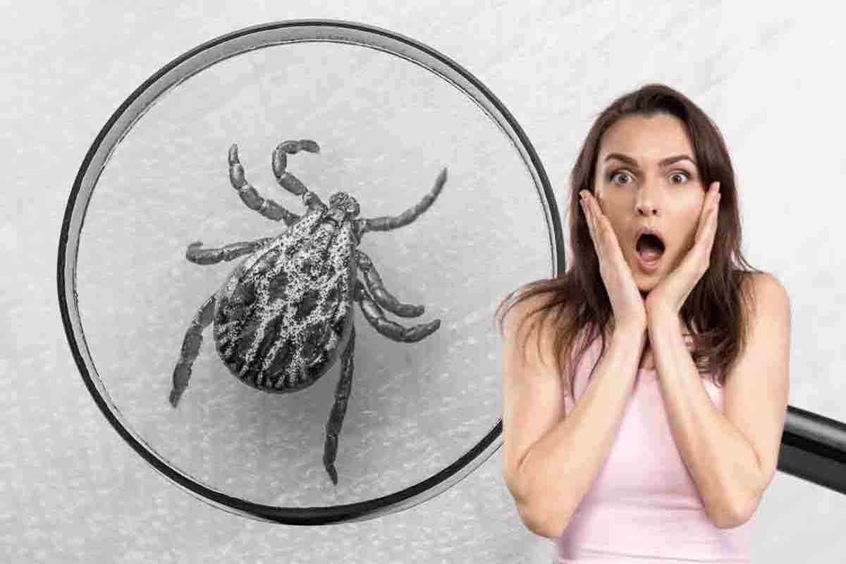 Morbo di Lyme quali sono i sintomi