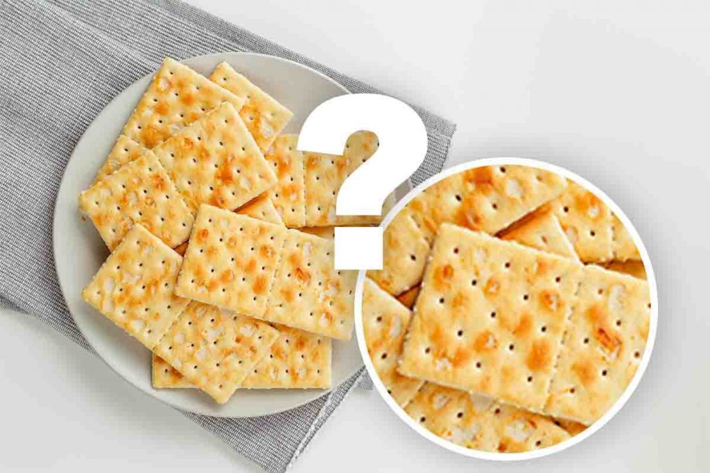 Sai perché i crackers hanno tutti quei fori in superficie? La