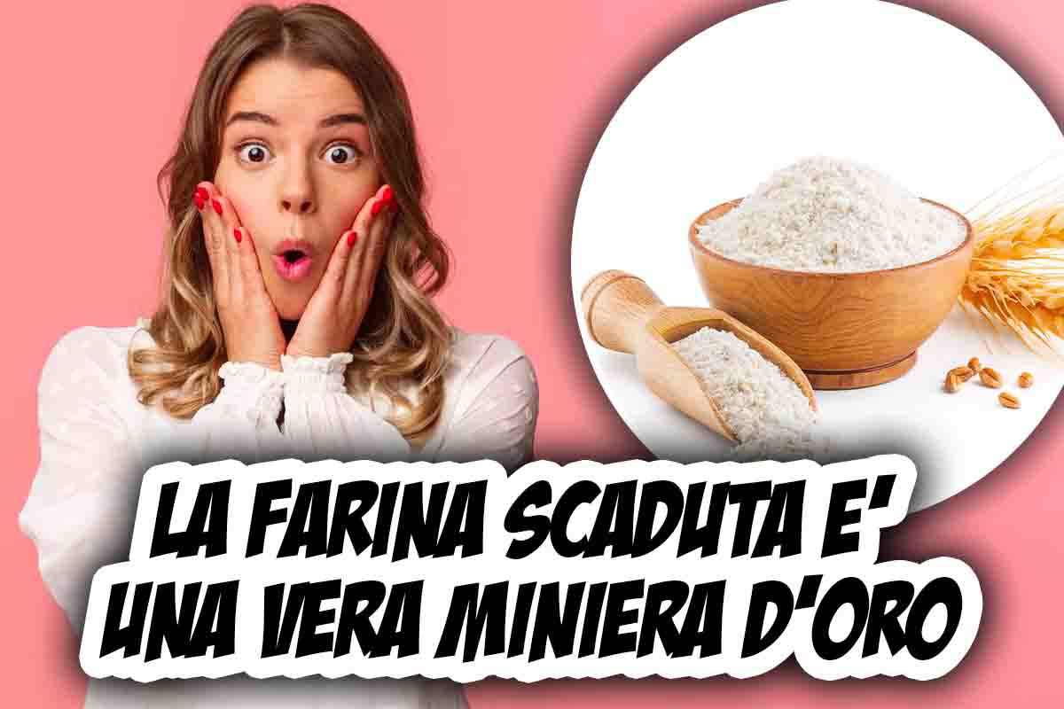 farina scaduta utilizzi alternativi