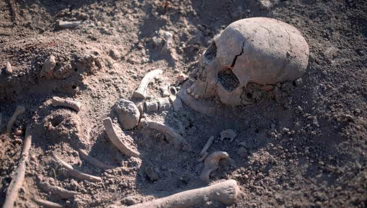 trovato fossile di 4000 anni