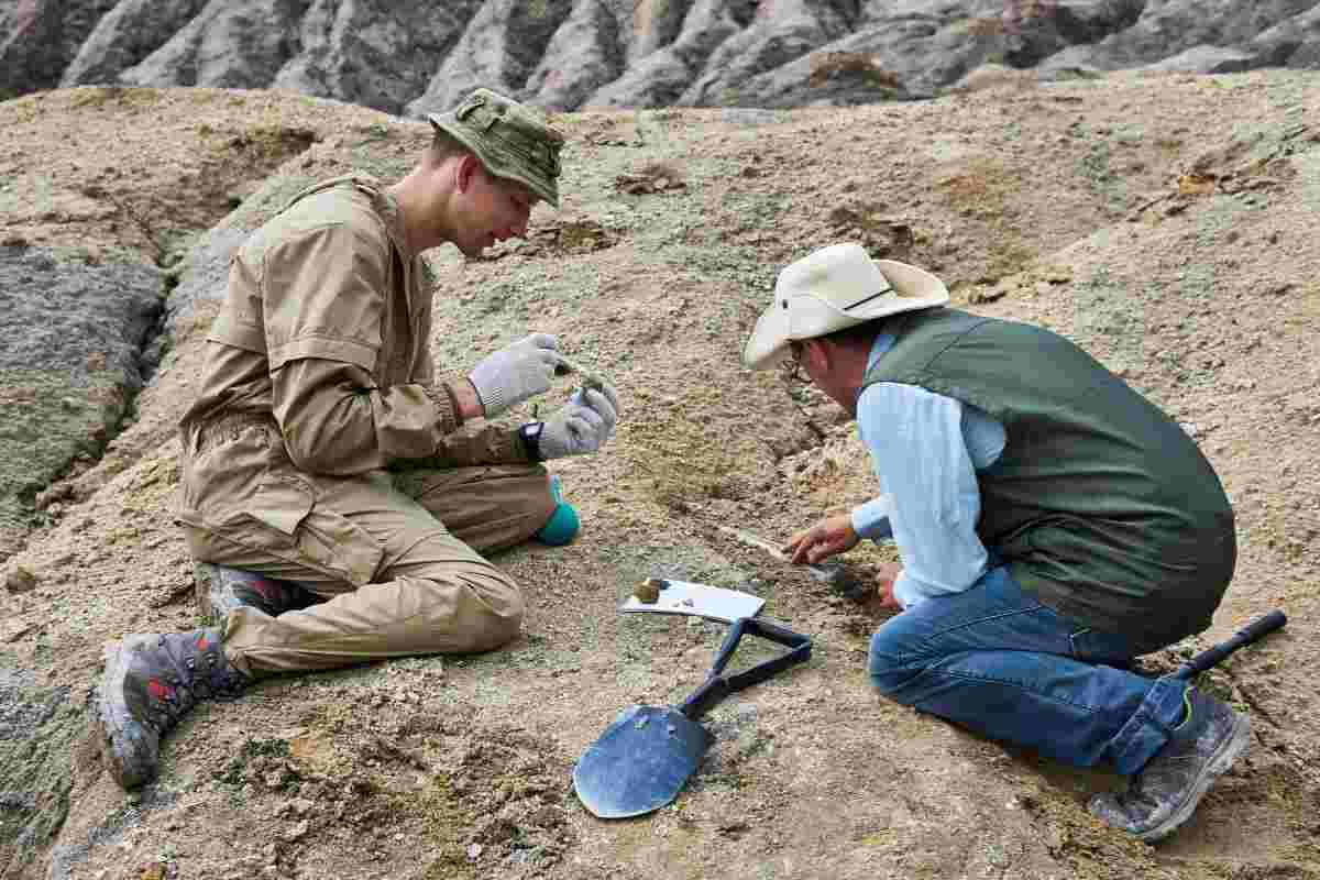 trovato fossile di 4000 anni