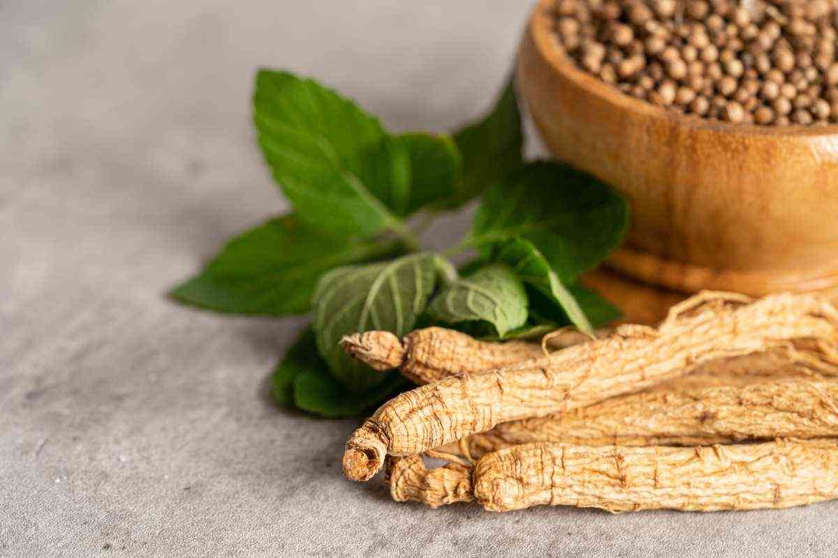 cosa c'è nel ginseng del bar