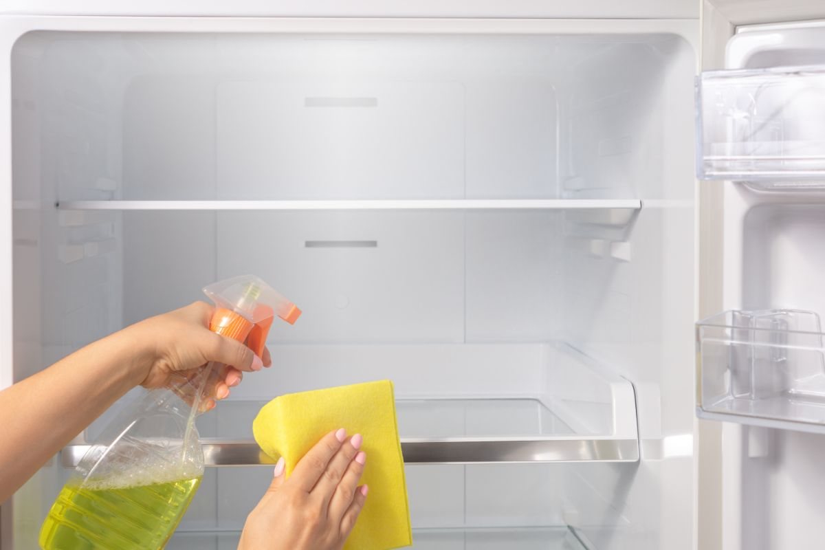 come eliminare puzza dal frigo 