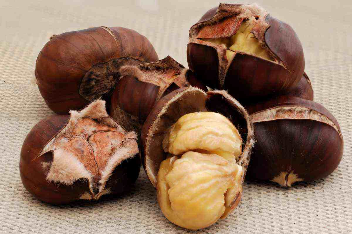 come usare le bucce di castagne