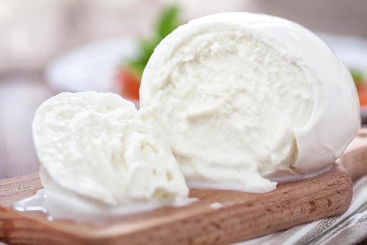 arriva la prima mozzarella vegetale italiana