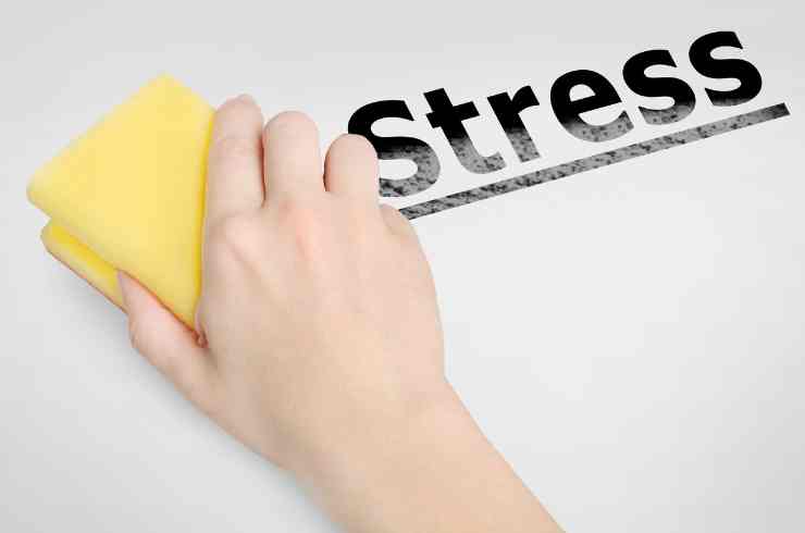 Rimedio per allontanare ansia e stress