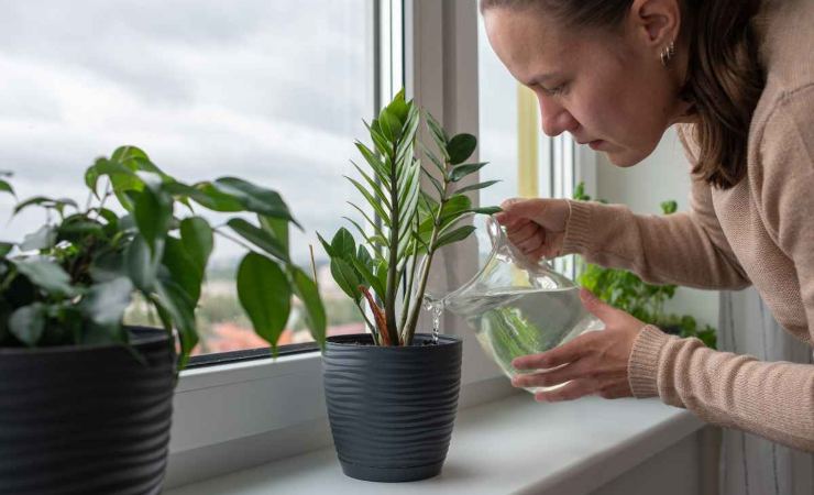 Acqua condizionatore innaffiare piante