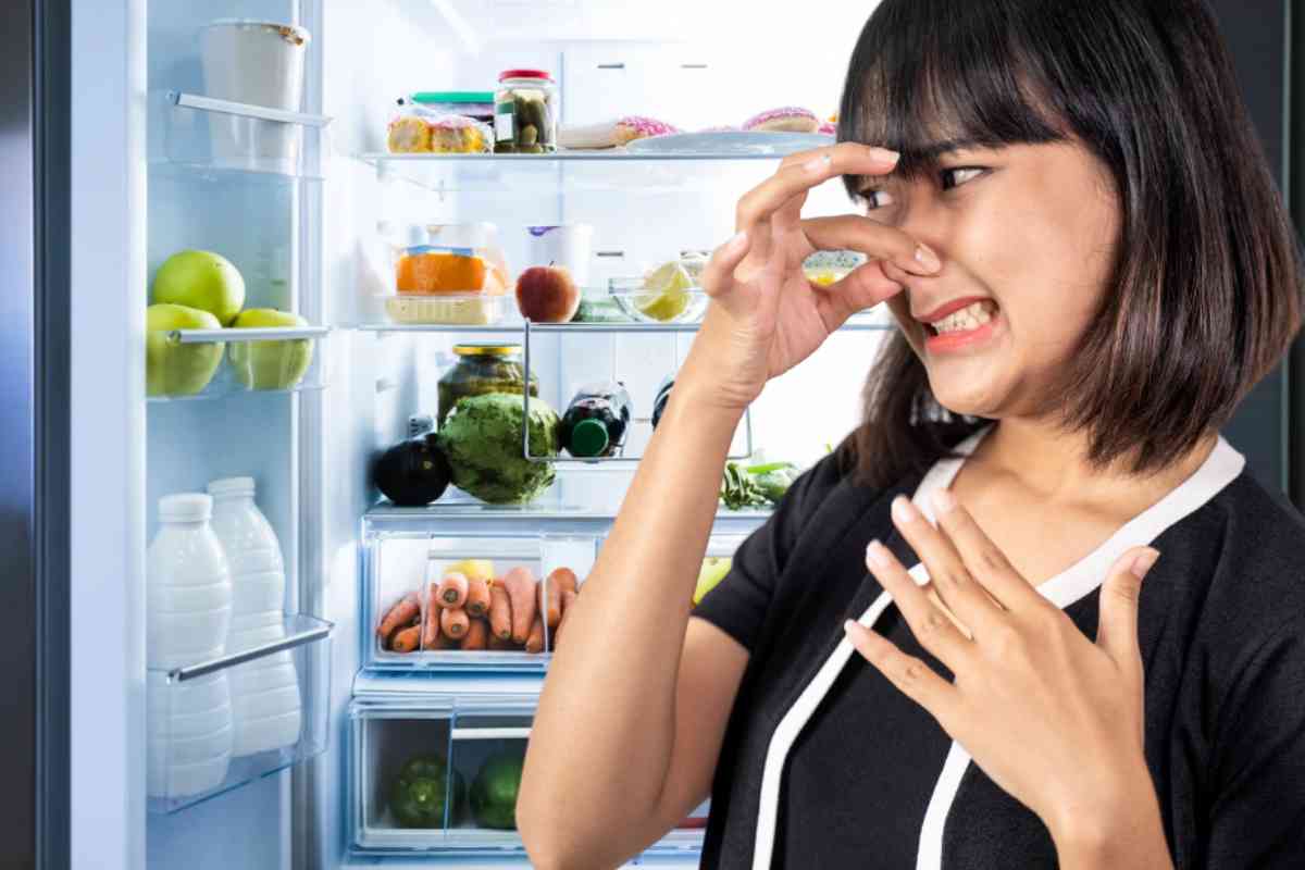 cattivi odori frigorifero soluzione