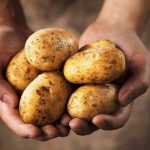 Patate cosa serve selenio