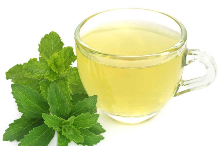 infuso menta stevia: benefici corpo