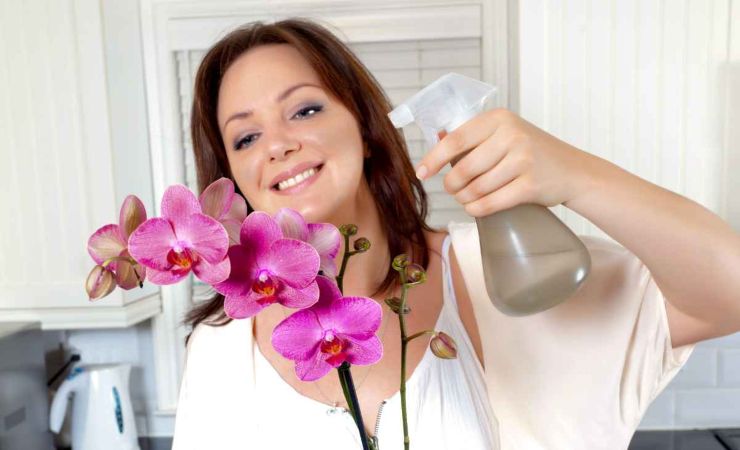 Metodi innaffiatura orchidee