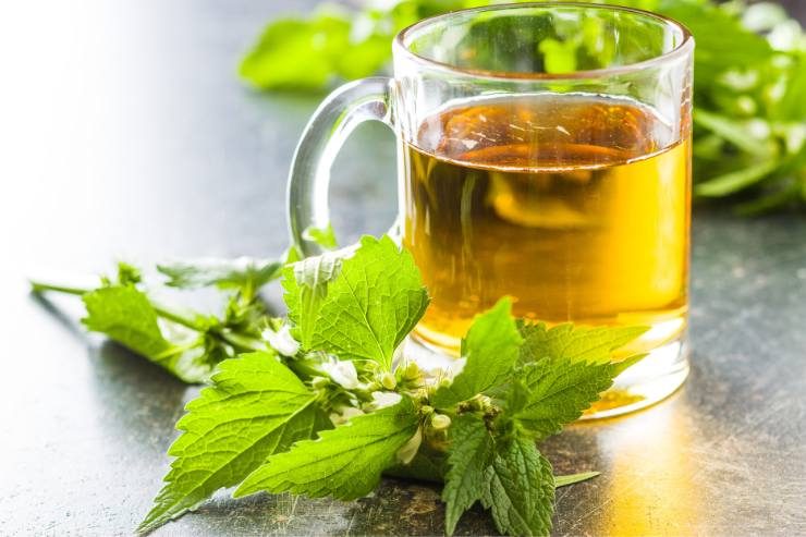Tè bianco proprietà